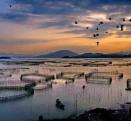 仁寿伴游中国网景点丰富(旅游网介绍)