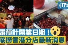 仁寿香港酒店雇用高薪伴游(高端伴游雇用)