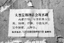 仁寿珠海伴游雇用网(珠海游览社雇用信息)
