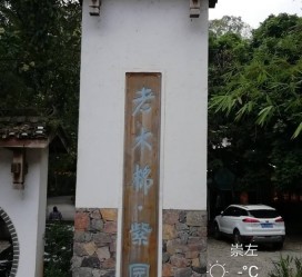 仁寿关于伴游中国伴游你们伴得是什么游的信息