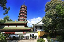 仁寿广州自由行(广州 自由行)