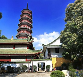 仁寿广州自由行(广州 自由行)