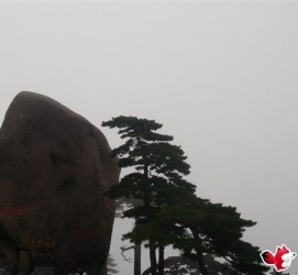 仁寿上海伴游私家陪游雇用女模(上海伴游私家陪游雇用女模特)