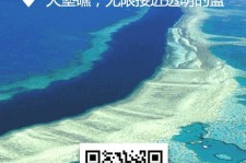 仁寿中国250家旅行社结伴游新西兰(新西兰当地旅行社)