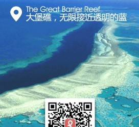 仁寿中国250家旅行社结伴游新西兰(新西兰当地旅行社)
