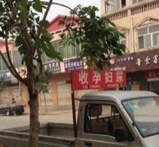 仁寿上海伴游 用伴游造句大全(5