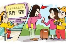 仁寿伴游是什么
