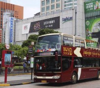 仁寿上海私人伴游 上海过年怎么玩？这些“微游”线路了解下→