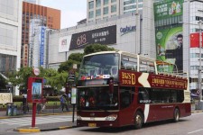 仁寿上海私人伴游 上海过年怎么玩？这些“微游”线路了解下→
