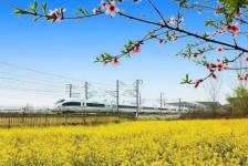 仁寿高铁游(高铁游戏下载手机版)