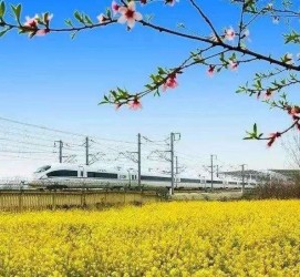 仁寿高铁游(高铁游戏下载手机版)