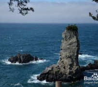 仁寿旅游全攻略(上海旅游全攻略)