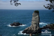 仁寿旅游全攻略(上海旅游全攻略)