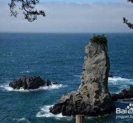 仁寿旅游全攻略(上海旅游全攻略)