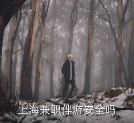 仁寿上海私人伴游 上海伴游，上海兼职伴游安全吗