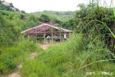 仁寿北海伴游兼职雇用信息(北海伴游兼职雇用信息大全)
