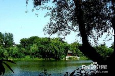 仁寿西湖旅游攻略(上海到杭州西湖旅游攻略)