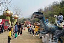 仁寿中国伴游带你打卡网红南山竹海(南山竹海网上预约)