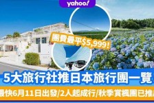 仁寿旅游价格(旅游价格机制)