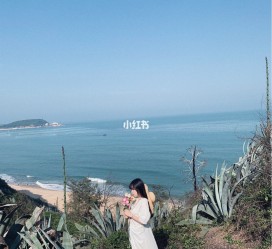 仁寿厦门周边游(厦门及周边旅游攻略)