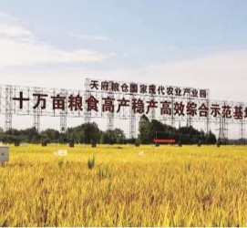 仁寿关于成都商务伴游外围雇用的信息