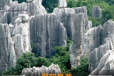 仁寿贵阳市游览社英语伴游雇用(贵阳市前十名游览社是哪几家)