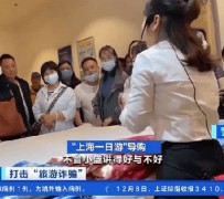 仁寿上海私人伴游 看·法｜100元游上海？！“旅社”涉嫌诈骗被一窝端