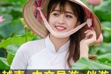 仁寿日本关东伴游中国(日本关西旅行)
