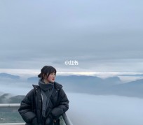 仁寿四日游(朝鲜四日游)