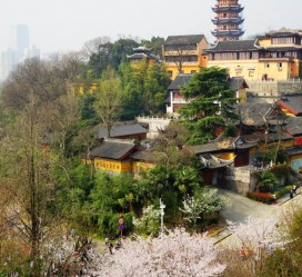 仁寿南京周边游(南京周边游景点大全 自驾车旅游)