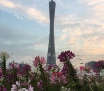 仁寿广州旅游攻略(杭州到广州旅游攻略)