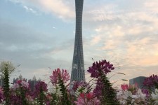 仁寿广州旅游攻略(杭州到广州旅游攻略)