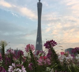 仁寿广州旅游攻略(杭州到广州旅游攻略)