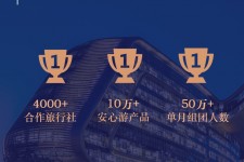 仁寿上海私人伴游 ​ “小而美”的新时代：2020年国内新跟团消费报告
