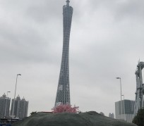 仁寿广州游玩攻略(广州游玩攻略景点大全免费)