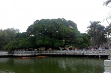 仁寿福州旅游攻略(福州旅游攻略二日游)