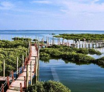 仁寿旅游哪里好玩(云南旅游哪里好玩)