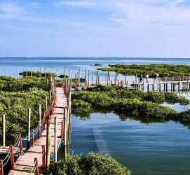 仁寿旅游哪里好玩(云南旅游哪里好玩)