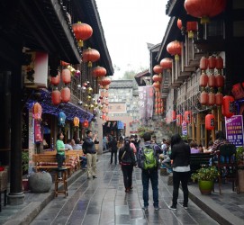 仁寿成都自助游(成都自助游住哪里方便)