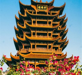 仁寿武汉游玩攻略(武汉游玩攻略路线)