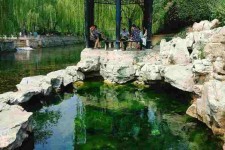 仁寿济南旅游攻略(青岛威海济南旅游攻略)