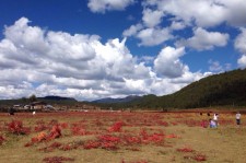 仁寿旅游去处(暑期最好的旅游去处)