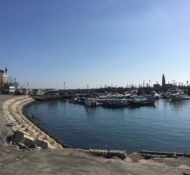 仁寿大连旅游攻略(大连旅游攻略自由行)