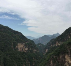 仁寿伴游中国伴游城(伴游网上海)
