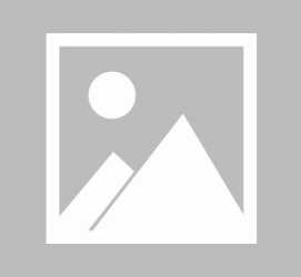 仁寿私人伴游 黄金周里动“黄”经 天津又现“私人陪游”逆流