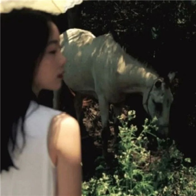 仁寿私家伴游让你拥有一次完美的旅游体验