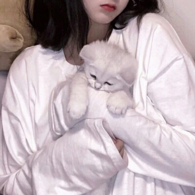 仁寿伴游女生蕾鮑的资料